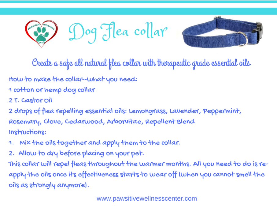 Pawsitive Wellness Center Safe Flea Collar for Pets