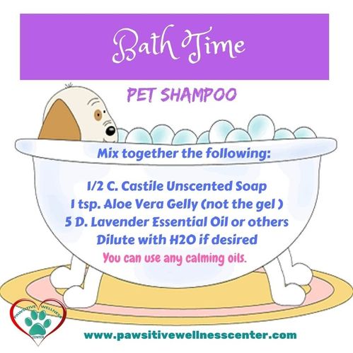 Pawsitive Wellness Center Pet Shampoo Recipe