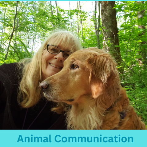 Pawsitive Wellness Center Animal Communication